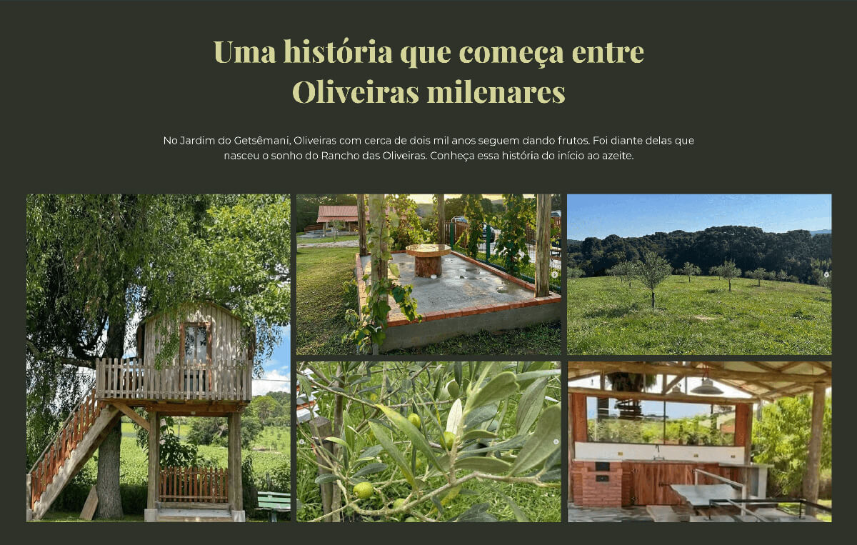 Azeite Olivah - Rancho das Oliveiras